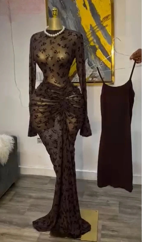 Elegant Sheer Mesh Evening Gown Long Sleeve Formal