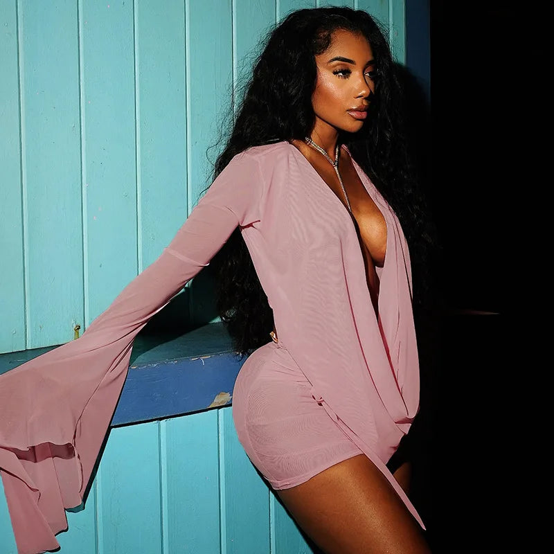 Stunning Mesh Bodycon Dress For Exclusive Night