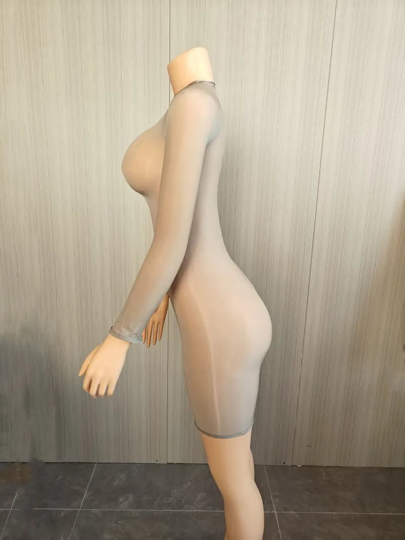 Leosoxs Signature Seamless Glossy Long Sleeve