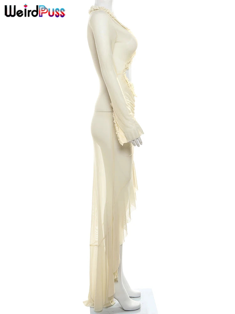Weird Puss Elegant Sheer Lace Bodycon Maxi Dress