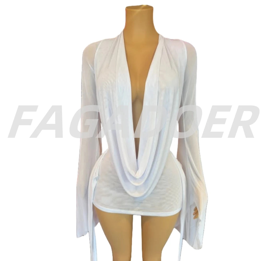 Stunning Mesh Bodycon Dress For Exclusive Night