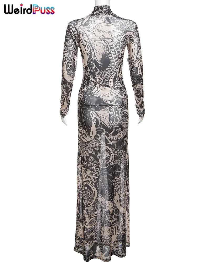 Premium Y2K Weird Puss Mesh Bodycon Maxi Dress