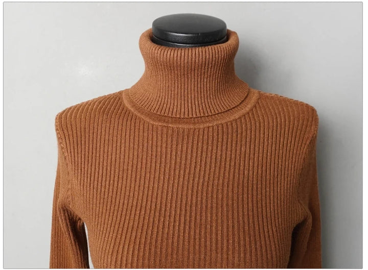 Premium Autumn Knit Turtleneck Dress