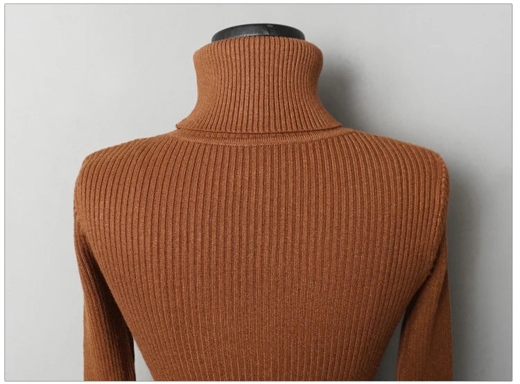 Premium Autumn Knit Turtleneck Dress