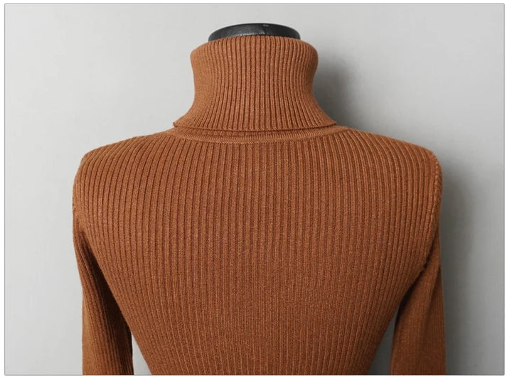 Premium Autumn Knit Turtleneck Dress