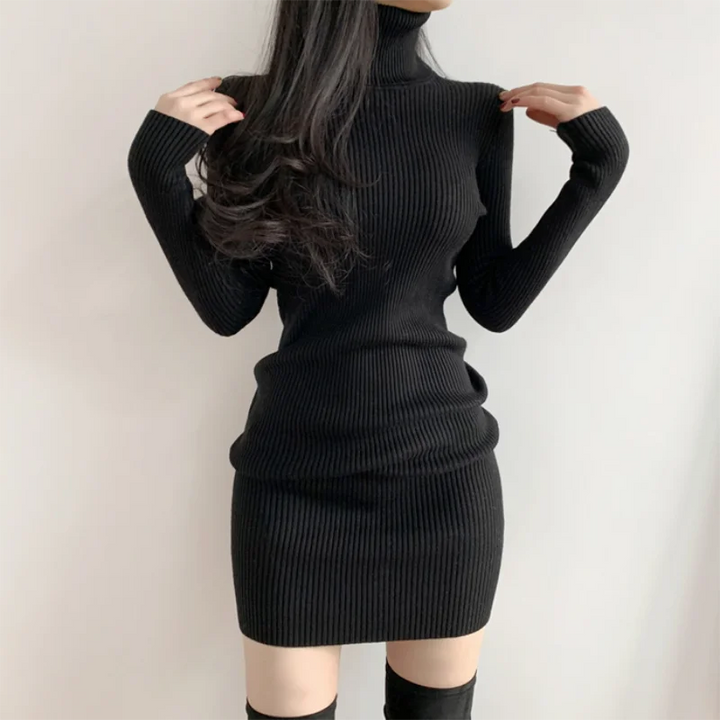 Women Autumn Turtleneck Bodycon Knit Mini Dress