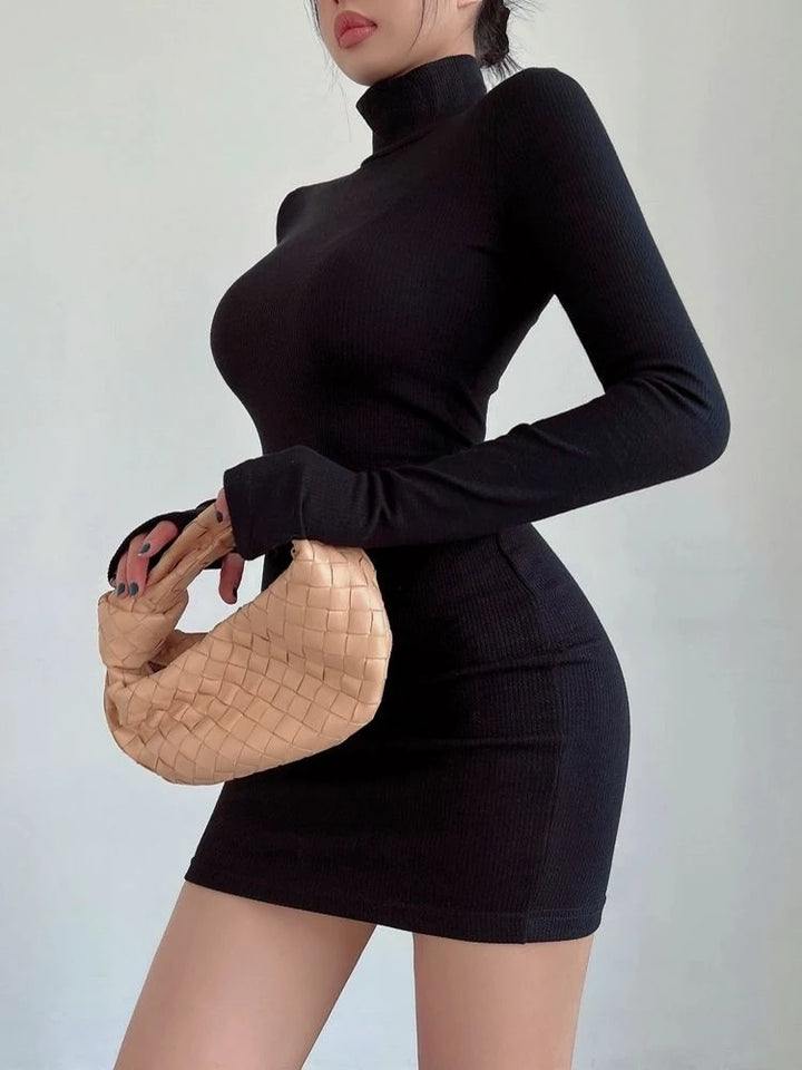 Velvet Turtleneck Long Sleeves Mini Dress Bodycon