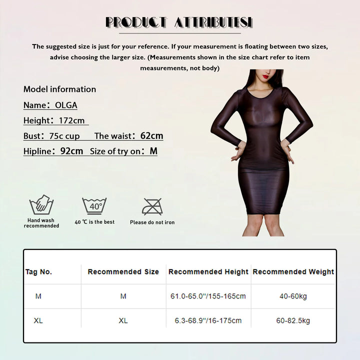 Women Glossy Sheer Bodycon Dress Long Sleeve Club