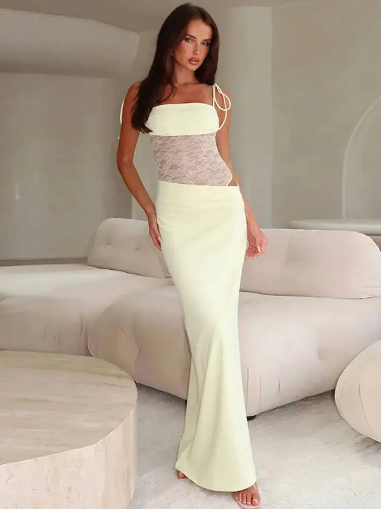 Elegant Backless Spaghetti Strap Party Dress