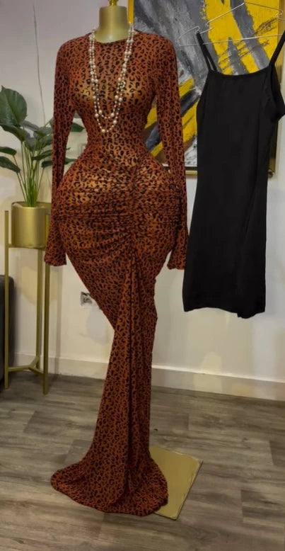 Elegant Sheer Mesh Evening Gown Long Sleeve Formal