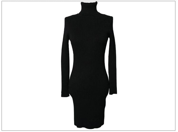 Premium Autumn Knit Turtleneck Dress