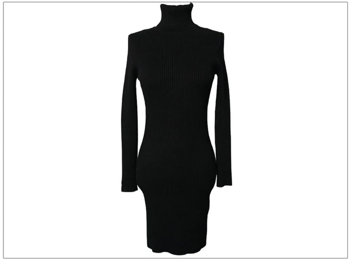Premium Autumn Knit Turtleneck Dress