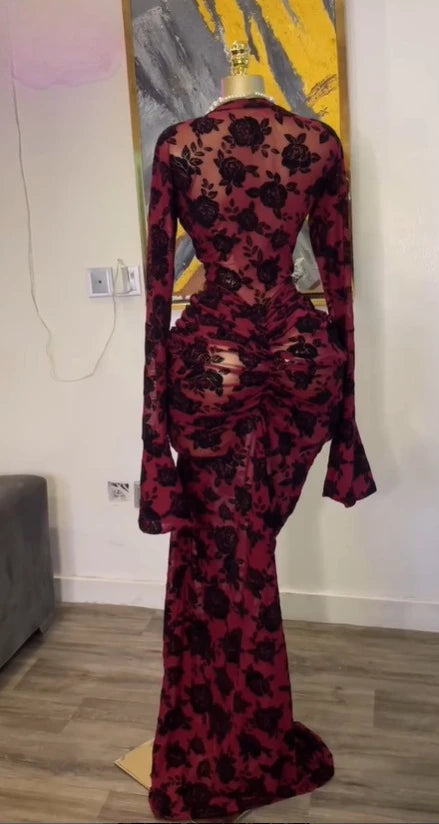 Elegant Sheer Mesh Evening Gown Long Sleeve Formal