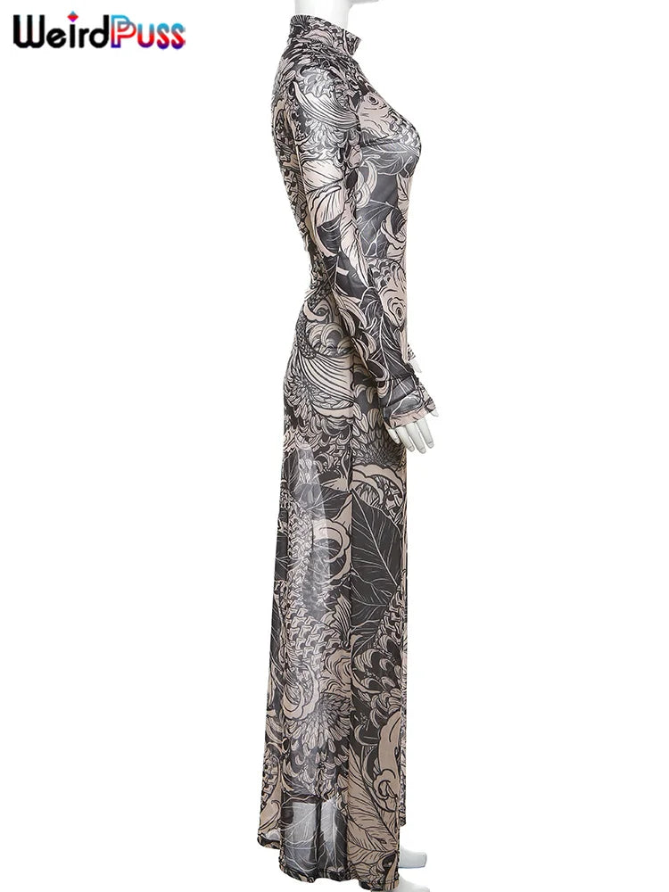 Premium Y2K Weird Puss Mesh Bodycon Maxi Dress
