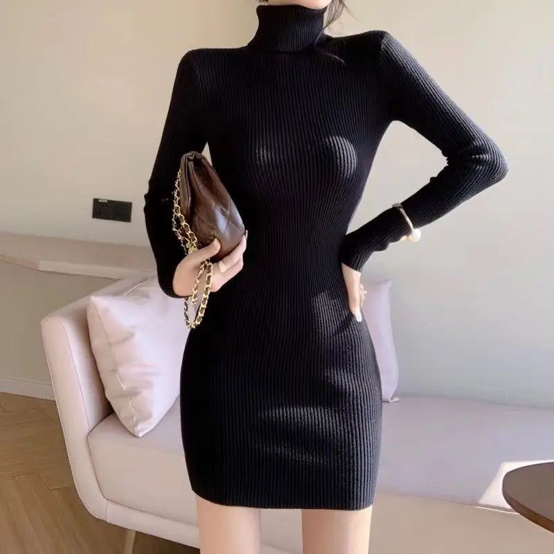 Premium Autumn Knit Turtleneck Dress