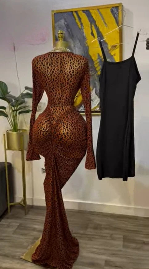 Elegant Sheer Mesh Evening Gown Long Sleeve Formal