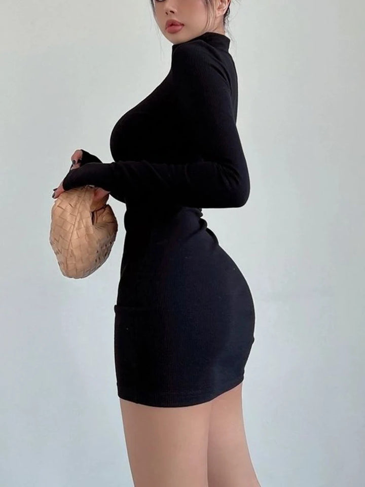 Velvet Turtleneck Long Sleeves Mini Dress Bodycon