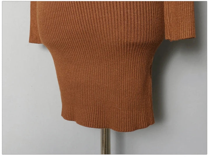 Premium Autumn Knit Turtleneck Dress