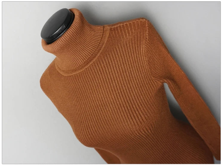 Premium Autumn Knit Turtleneck Dress
