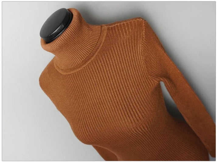 Premium Autumn Knit Turtleneck Dress