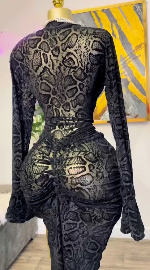 Elegant Sheer Mesh Evening Gown Long Sleeve Formal