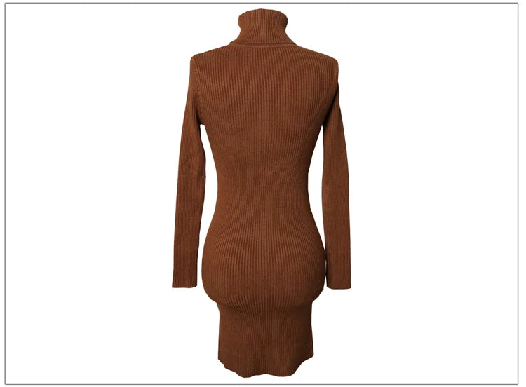 Premium Autumn Knit Turtleneck Dress