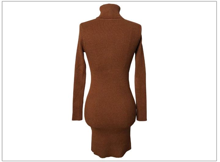 Premium Autumn Knit Turtleneck Dress
