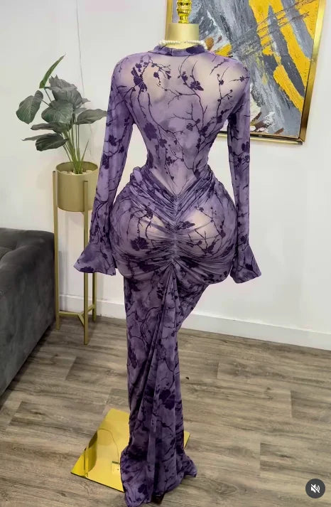 Elegant Sheer Mesh Evening Gown Long Sleeve Formal