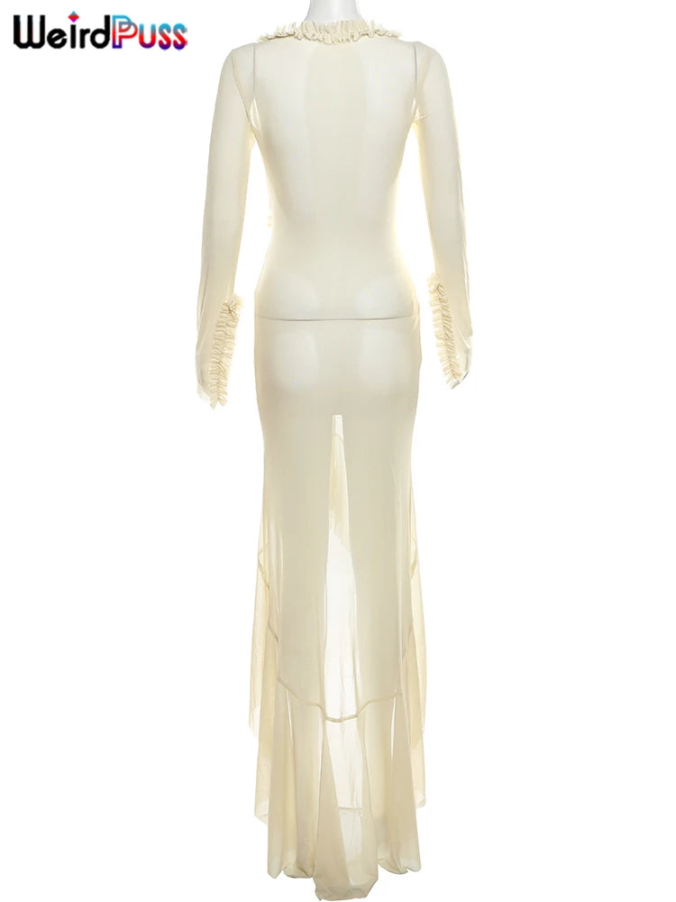 Weird Puss Elegant Sheer Lace Bodycon Maxi Dress
