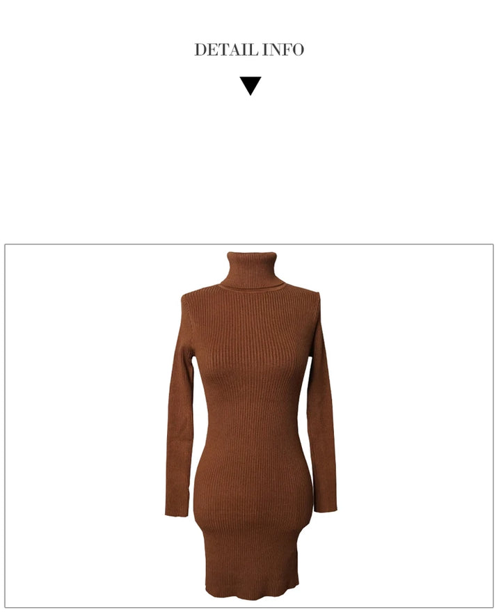 Premium Autumn Knit Turtleneck Dress