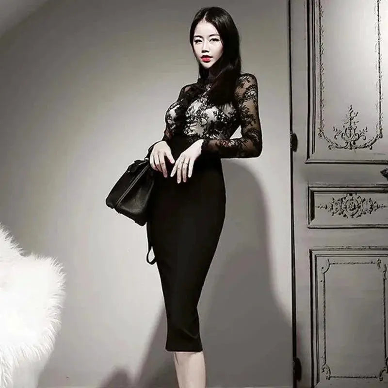 Korean Retro Lace Sheath Dress For Office Casual Wear