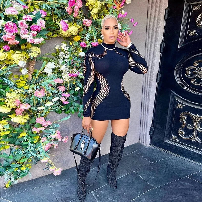 Women Sexy Hollow Out Mini Dress Mesh Long Sleeve Seamless Party Clubwear Bodycon Cutout Mini Dress
