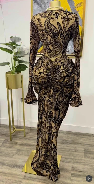 Elegant Long Sleeve Mesh Gown With Sheer Lining