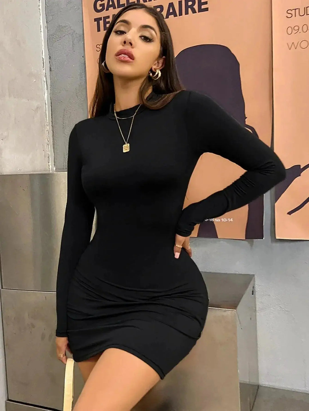 Turtleneck Bodycon Dress Long Sleeve Clubwear Solid Colors